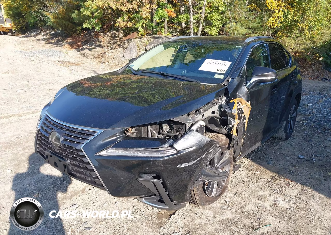 2020 Lexus Nx 300 VIN:JTJGARDZ3L2218254 - 2