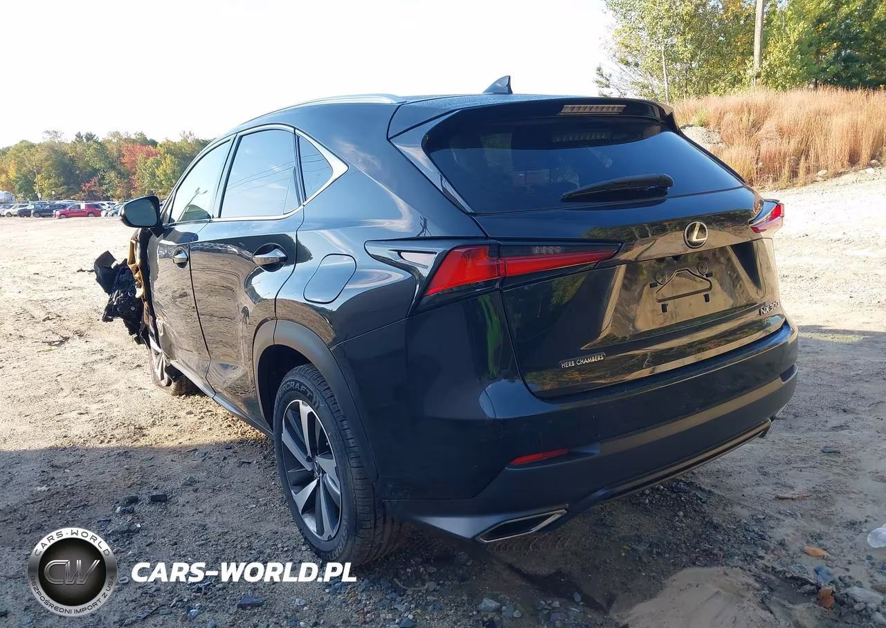 2020 Lexus Nx 300 VIN:JTJGARDZ3L2218254 - 3