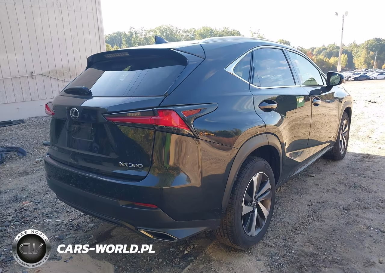 2020 Lexus Nx 300 VIN:JTJGARDZ3L2218254 - 4