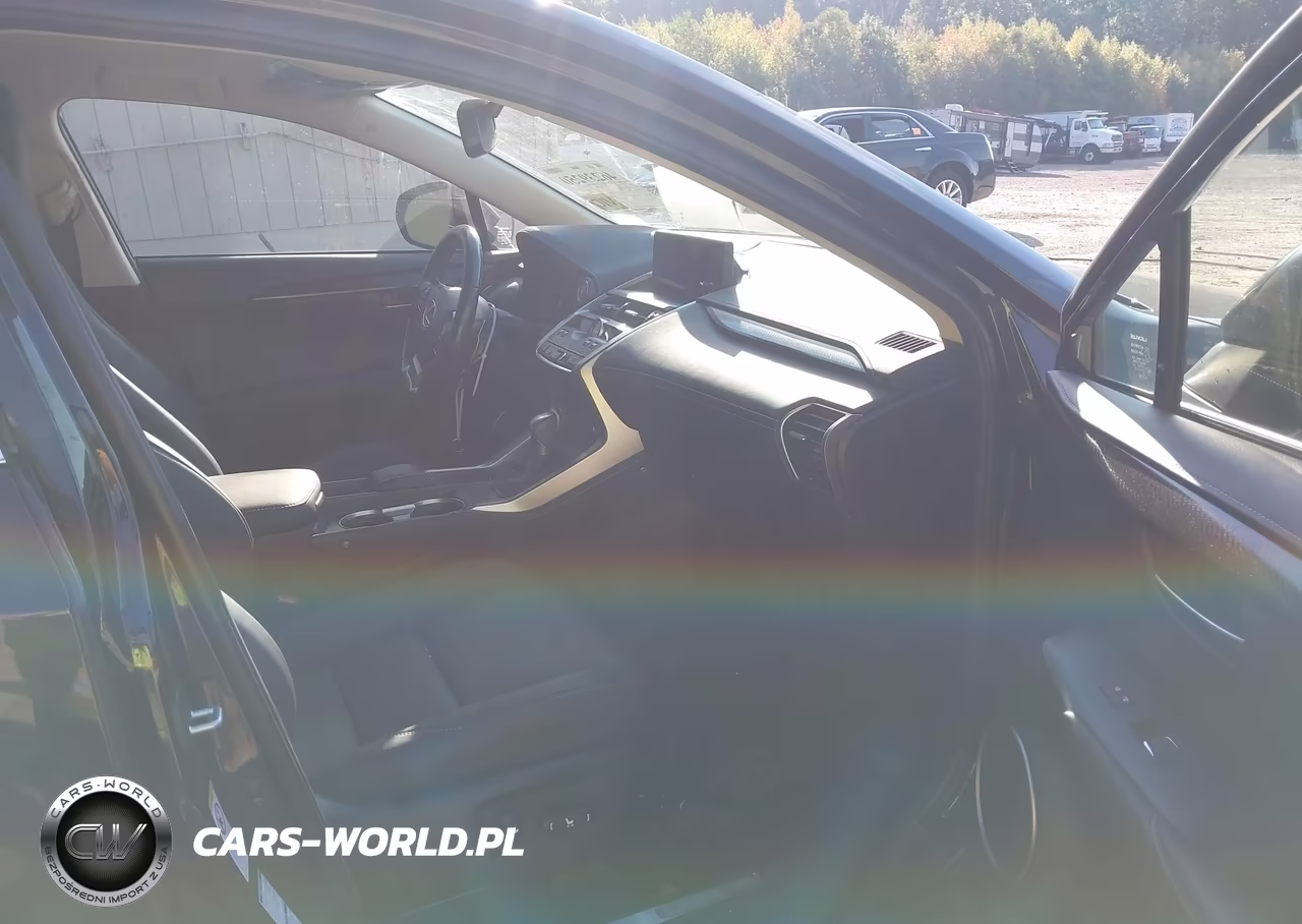 2020 Lexus Nx 300 VIN:JTJGARDZ3L2218254 - 5