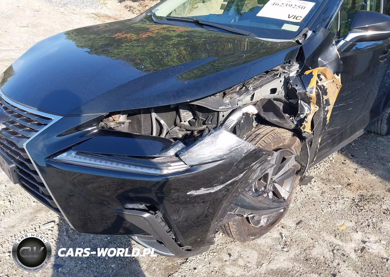 2020 Lexus Nx 300 VIN:JTJGARDZ3L2218254 - 6