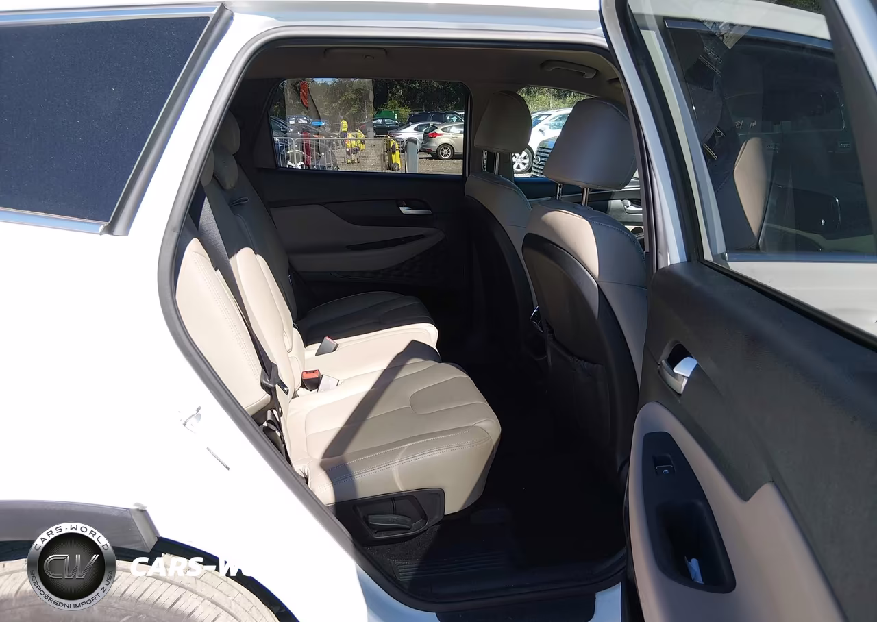 2020 Hyundai Santa Fe Sel VIN:5NMS33AD8LH164801 - 8