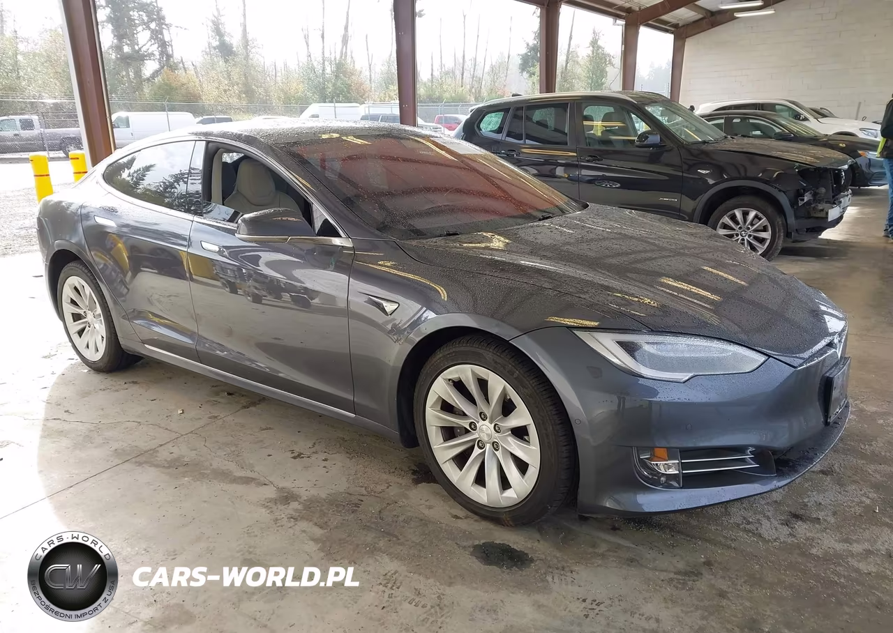 2017 Tesla Model S 100D-60D-75D-90D-P100D VIN:5YJSA1E22HF232196 - 1