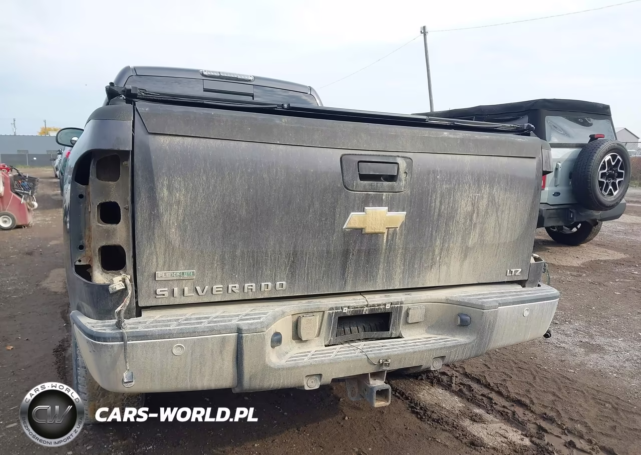 2010 Chevrolet Silverado 1500 Ltz VIN:1GCSKTE30AZ271838 - 20
