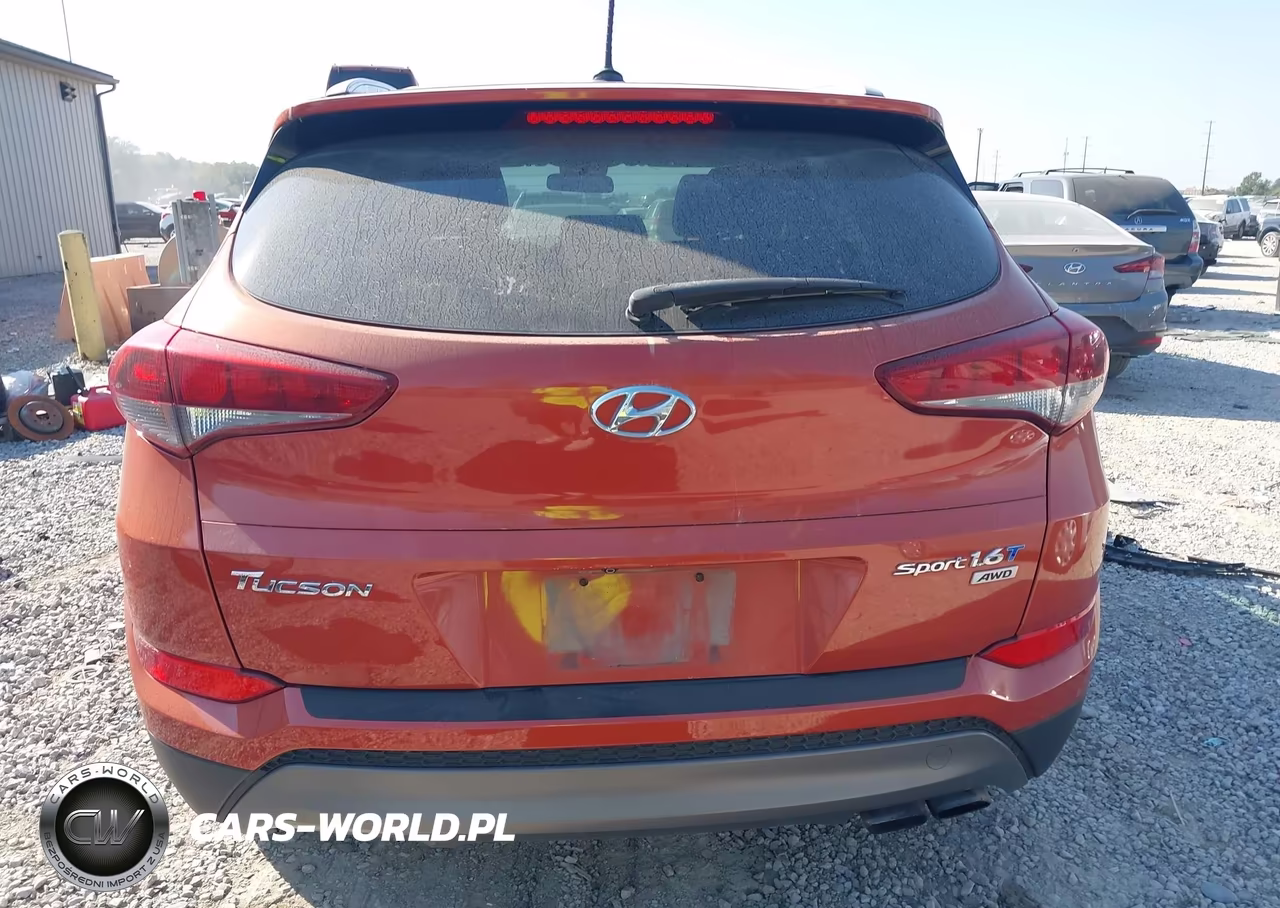 2016 Hyundai Tucson Sport VIN:KM8J3CA28GU199732 - 17