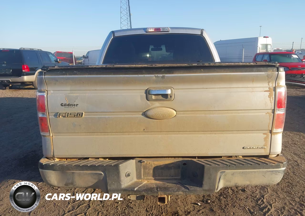 2011 Ford F-150 Xlt VIN:1FTFW1CF6BKE07083 - 16