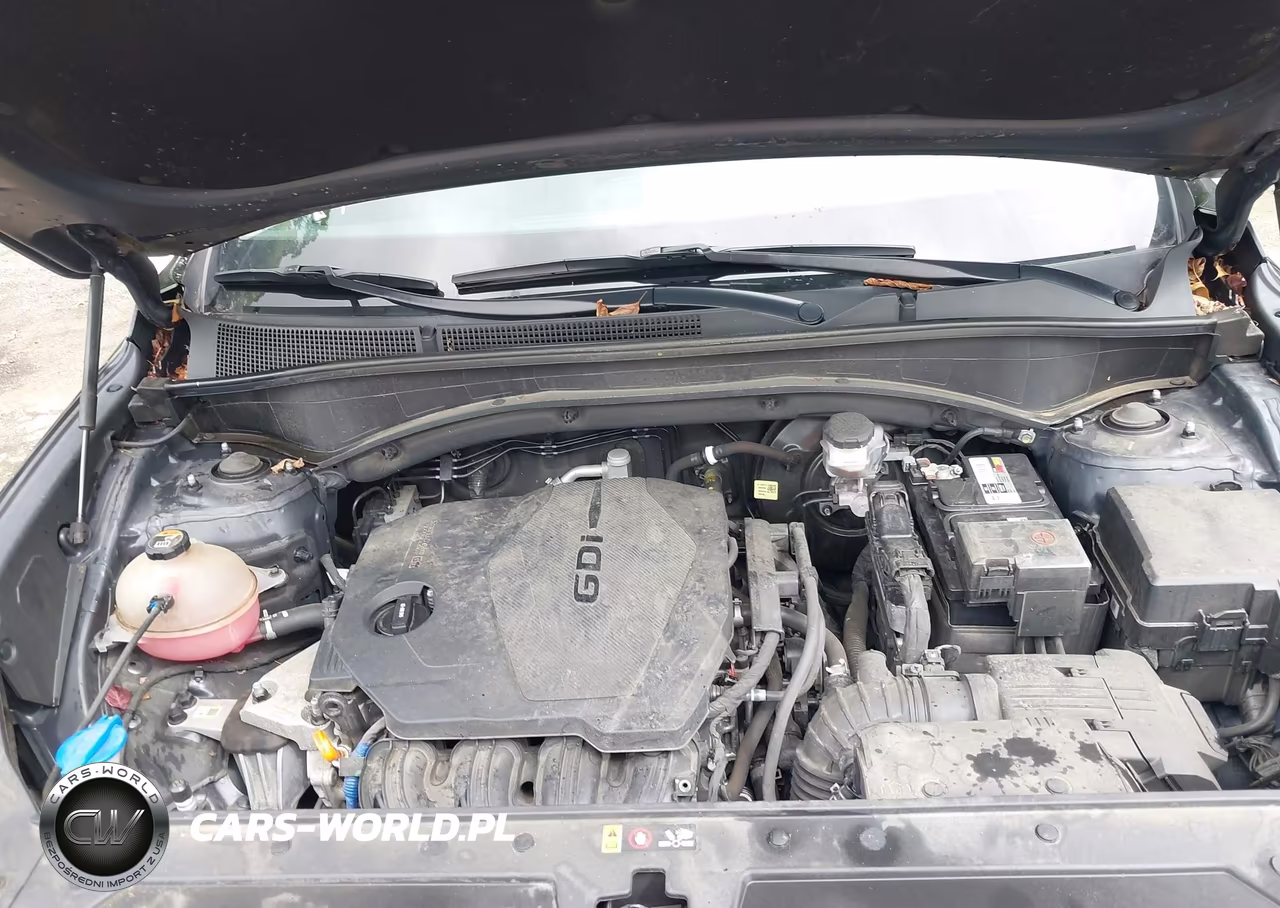 2023 Hyundai Santa Fe Xrt VIN:5NMS6DAJ0PH490682 - 10