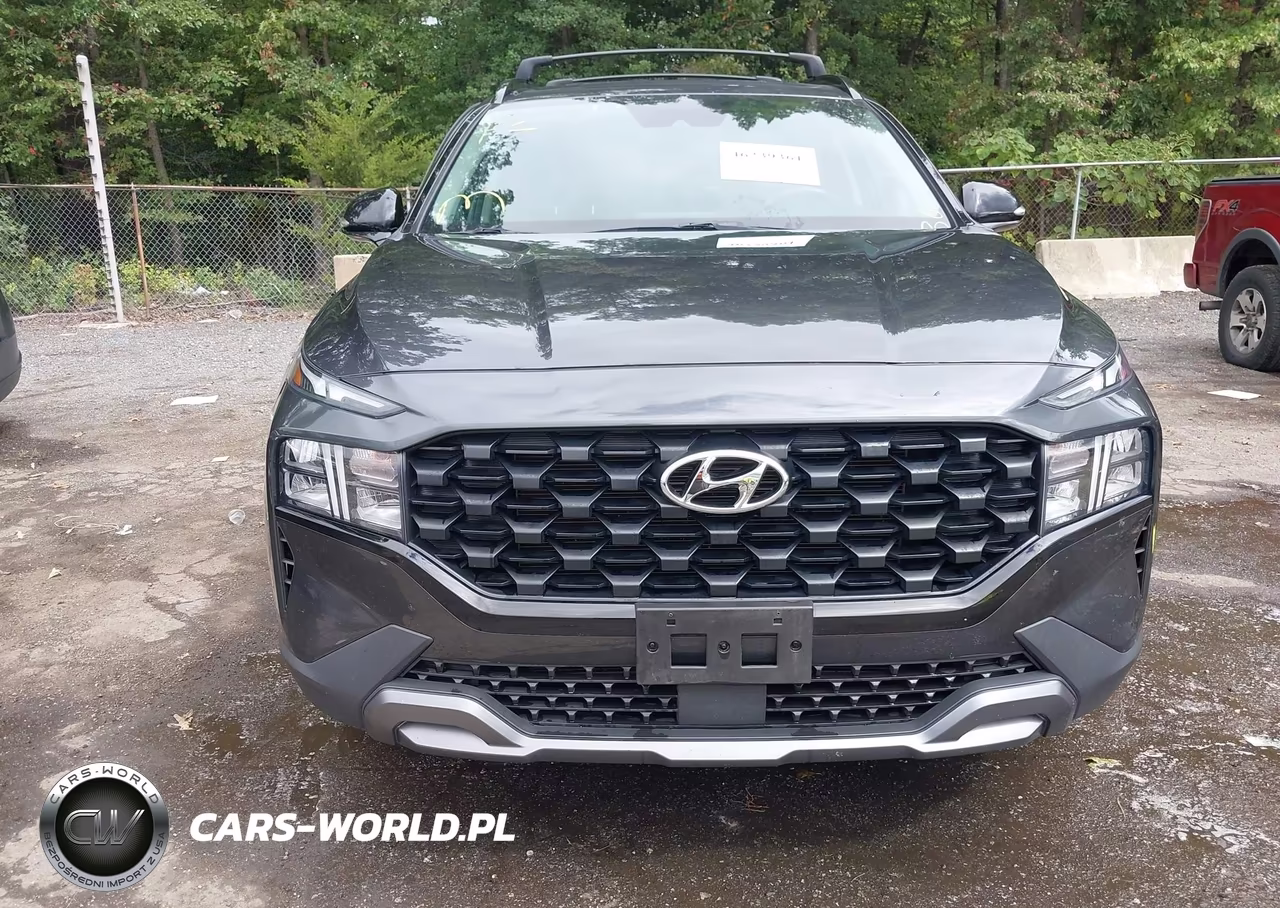 2023 Hyundai Santa Fe Xrt VIN:5NMS6DAJ0PH490682 - 12