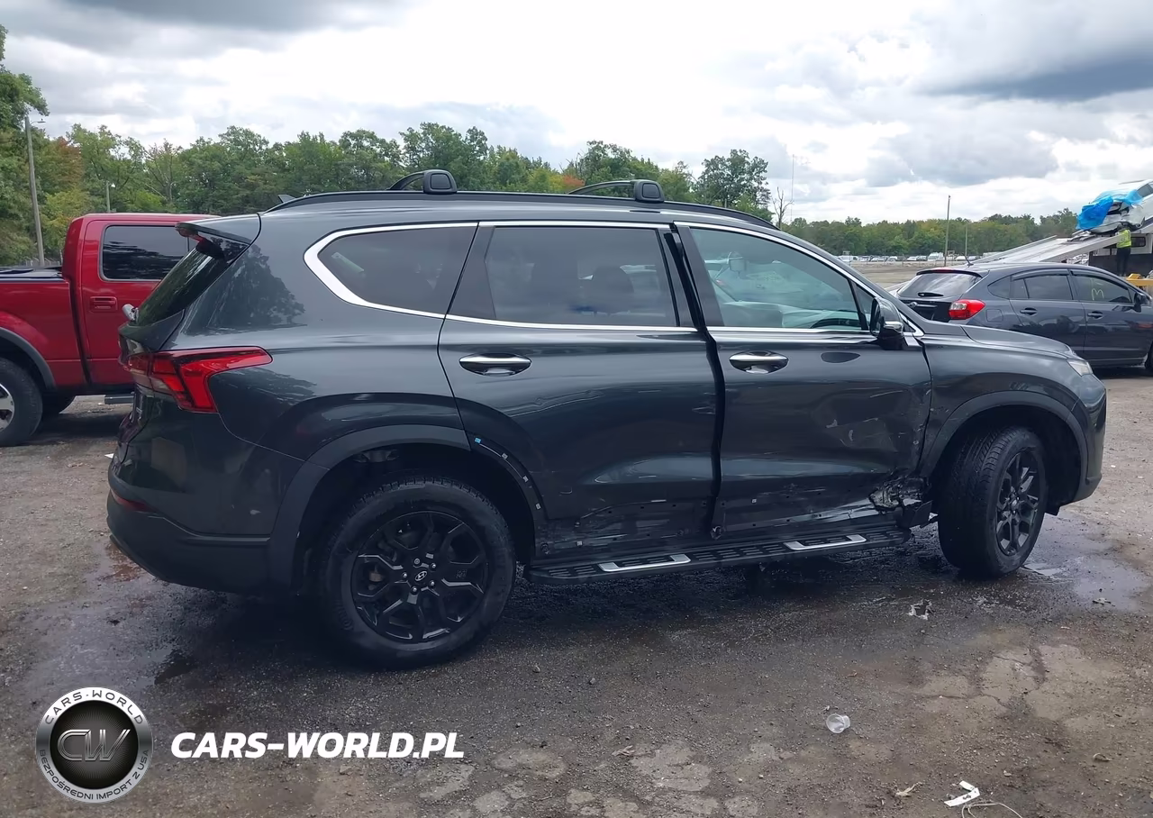 2023 Hyundai Santa Fe Xrt VIN:5NMS6DAJ0PH490682 - 13