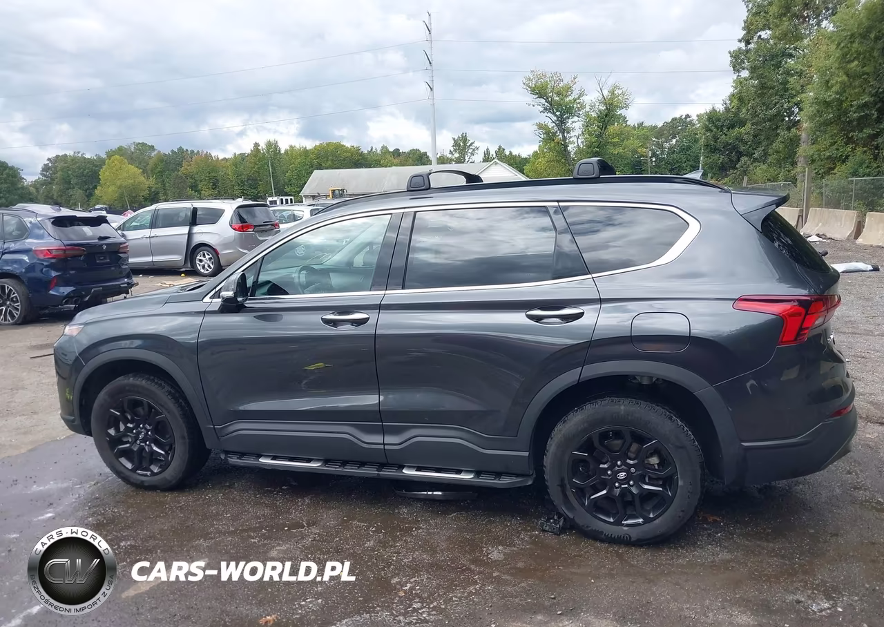2023 Hyundai Santa Fe Xrt VIN:5NMS6DAJ0PH490682 - 14