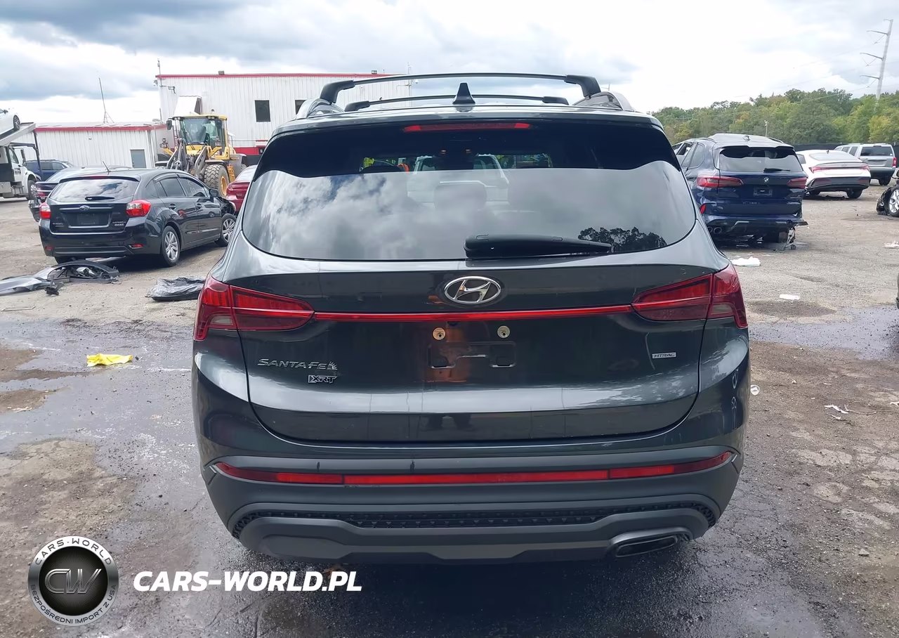 2023 Hyundai Santa Fe Xrt VIN:5NMS6DAJ0PH490682 - 16