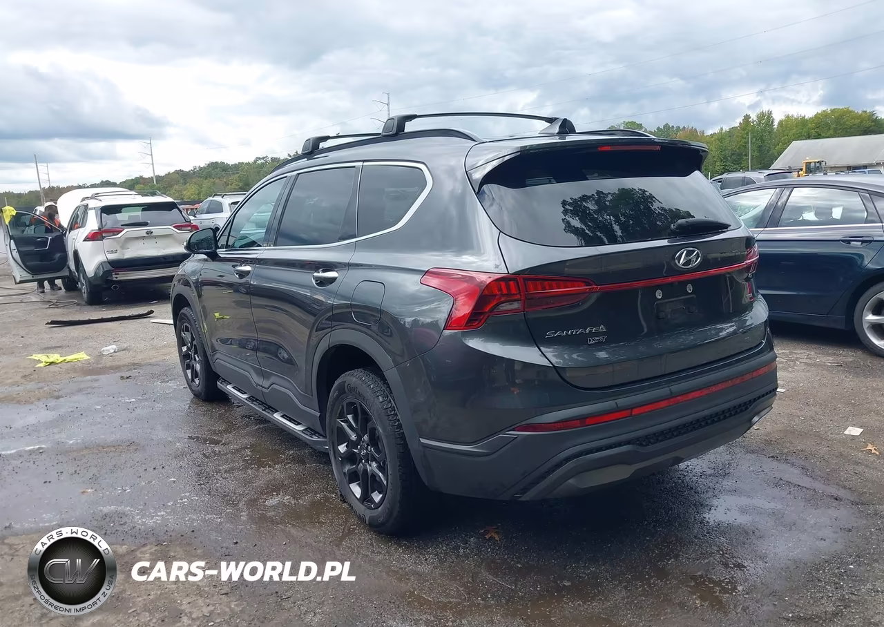 2023 Hyundai Santa Fe Xrt VIN:5NMS6DAJ0PH490682 - 3