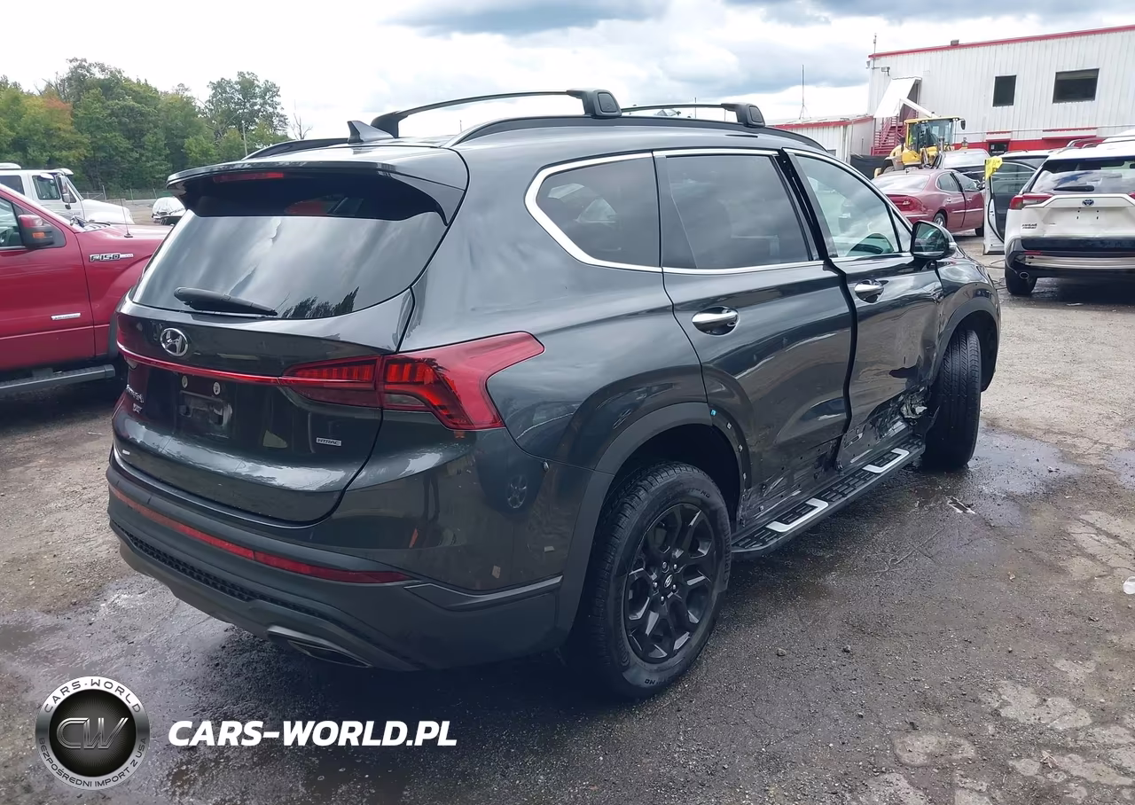 2023 Hyundai Santa Fe Xrt VIN:5NMS6DAJ0PH490682 - 4