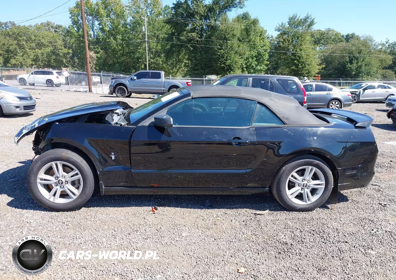 2013 Ford Mustang V6 VIN:1ZVBP8EM4D5211173 - 14