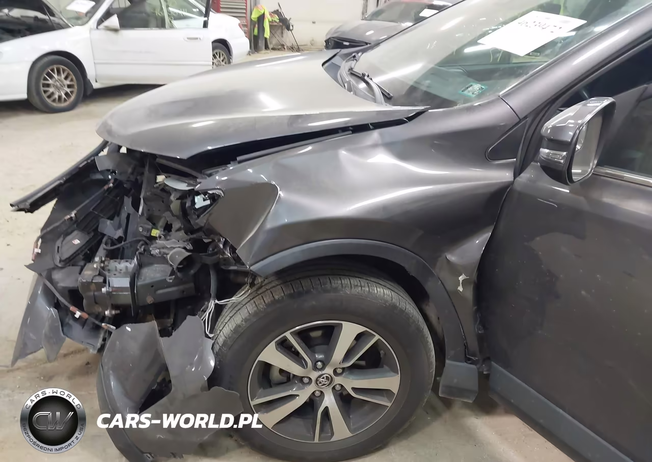 2017 Toyota Rav4 Xle VIN:2T3RFREV3HW567020 - 6