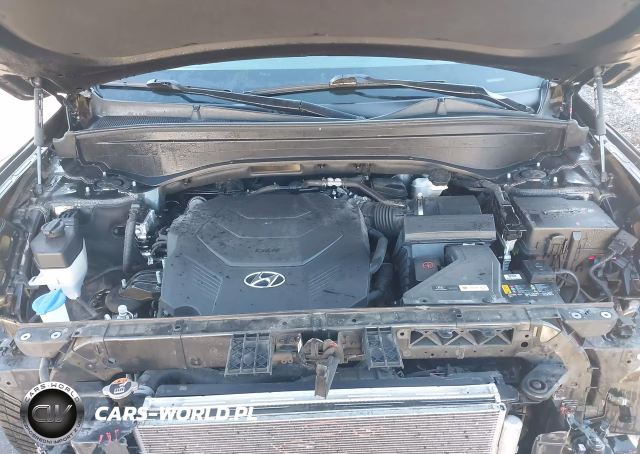 2020 Hyundai Palisade Sel VIN:KM8R4DHE8LU079915 - 10