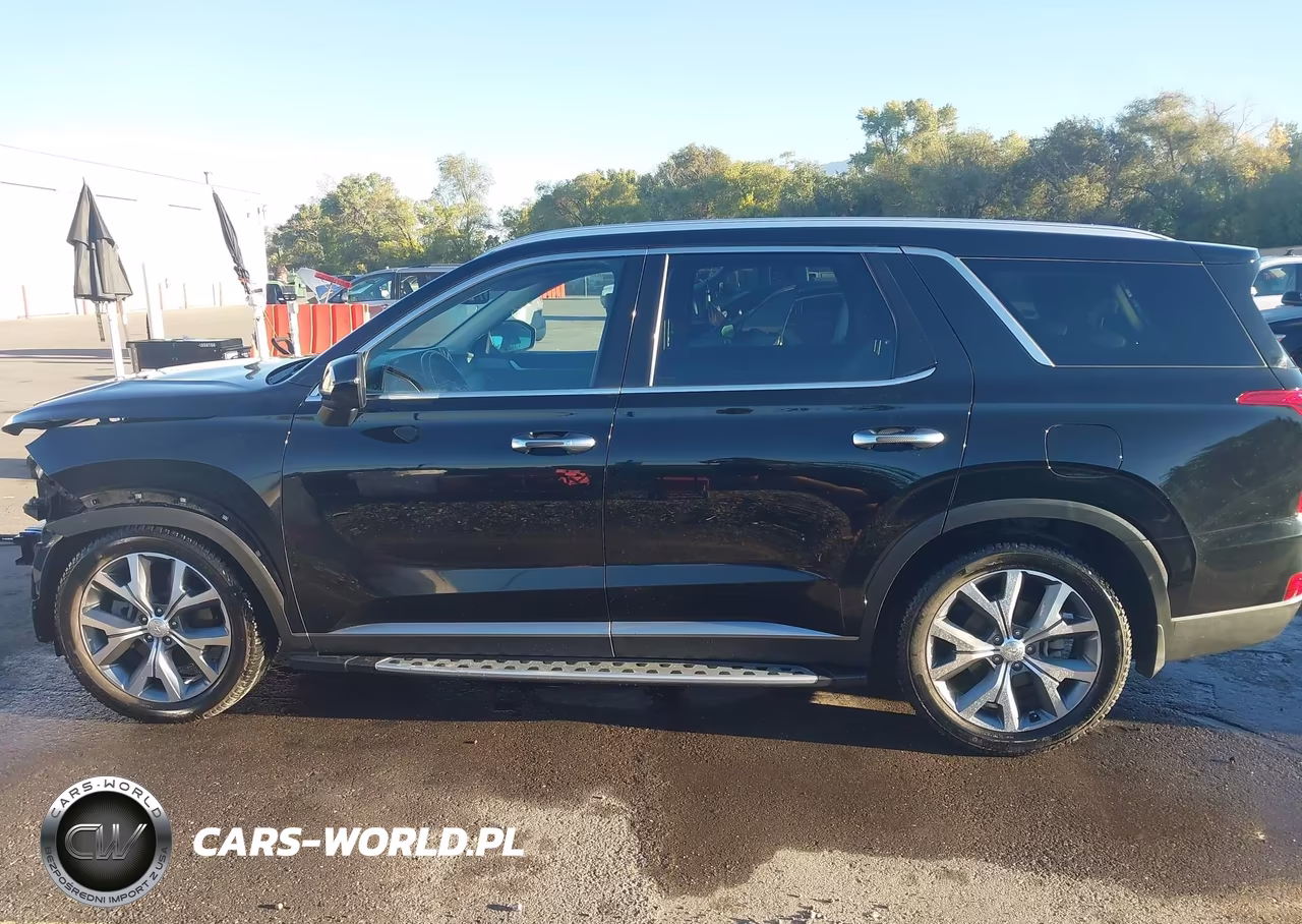 2020 Hyundai Palisade Sel VIN:KM8R4DHE8LU079915 - 15