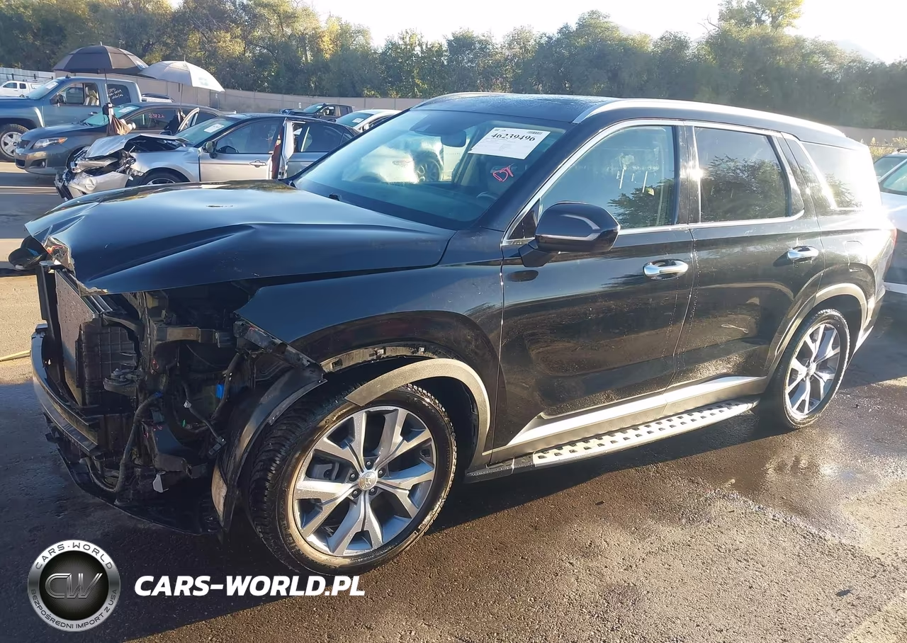 2020 Hyundai Palisade Sel VIN:KM8R4DHE8LU079915 - 2