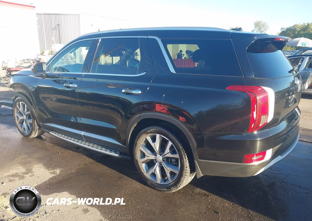 2020 Hyundai Palisade Sel VIN:KM8R4DHE8LU079915 - 3