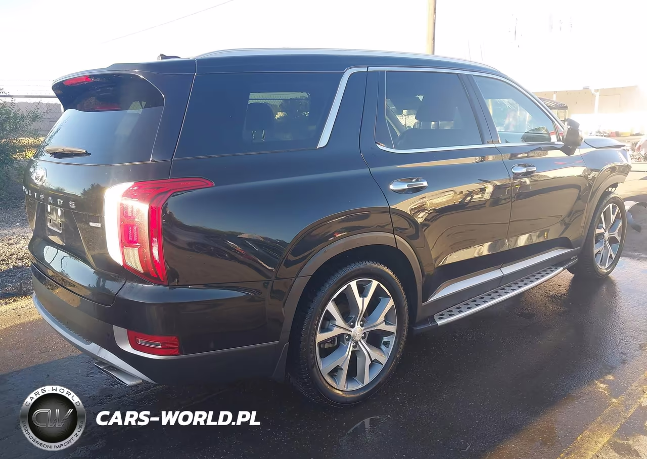 2020 Hyundai Palisade Sel VIN:KM8R4DHE8LU079915 - 4