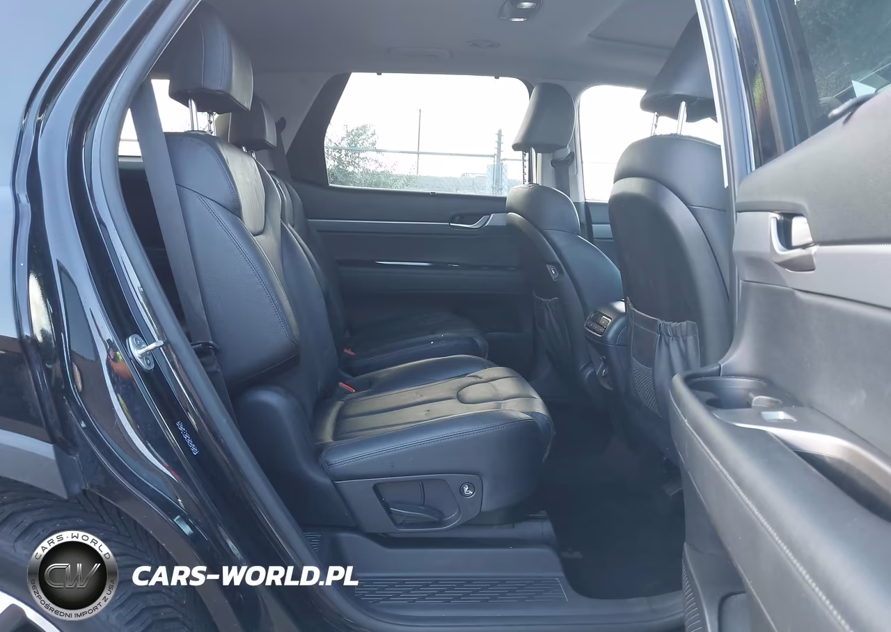 2020 Hyundai Palisade Sel VIN:KM8R4DHE8LU079915 - 8