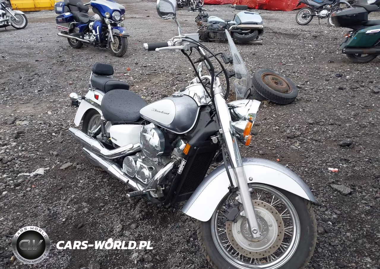 2013 Honda Vt750 Ca