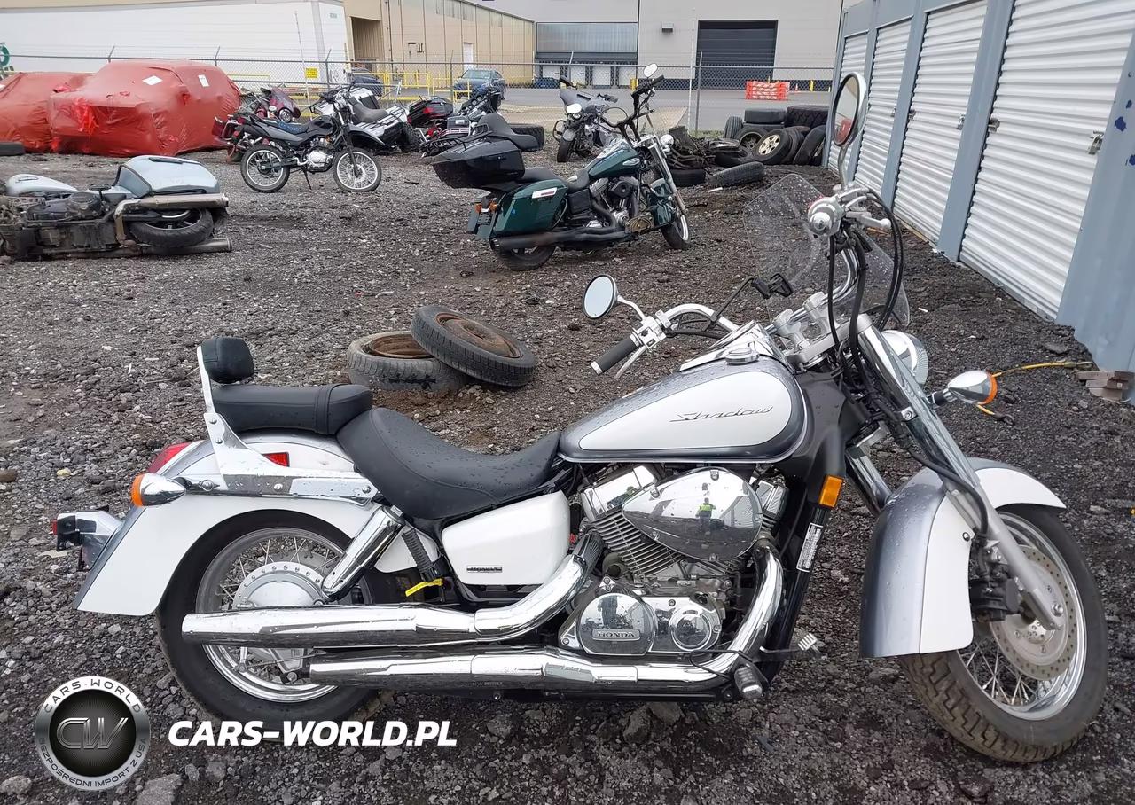 2013 Honda Vt750 Ca VIN:JH2RC5049DK800327 - 12