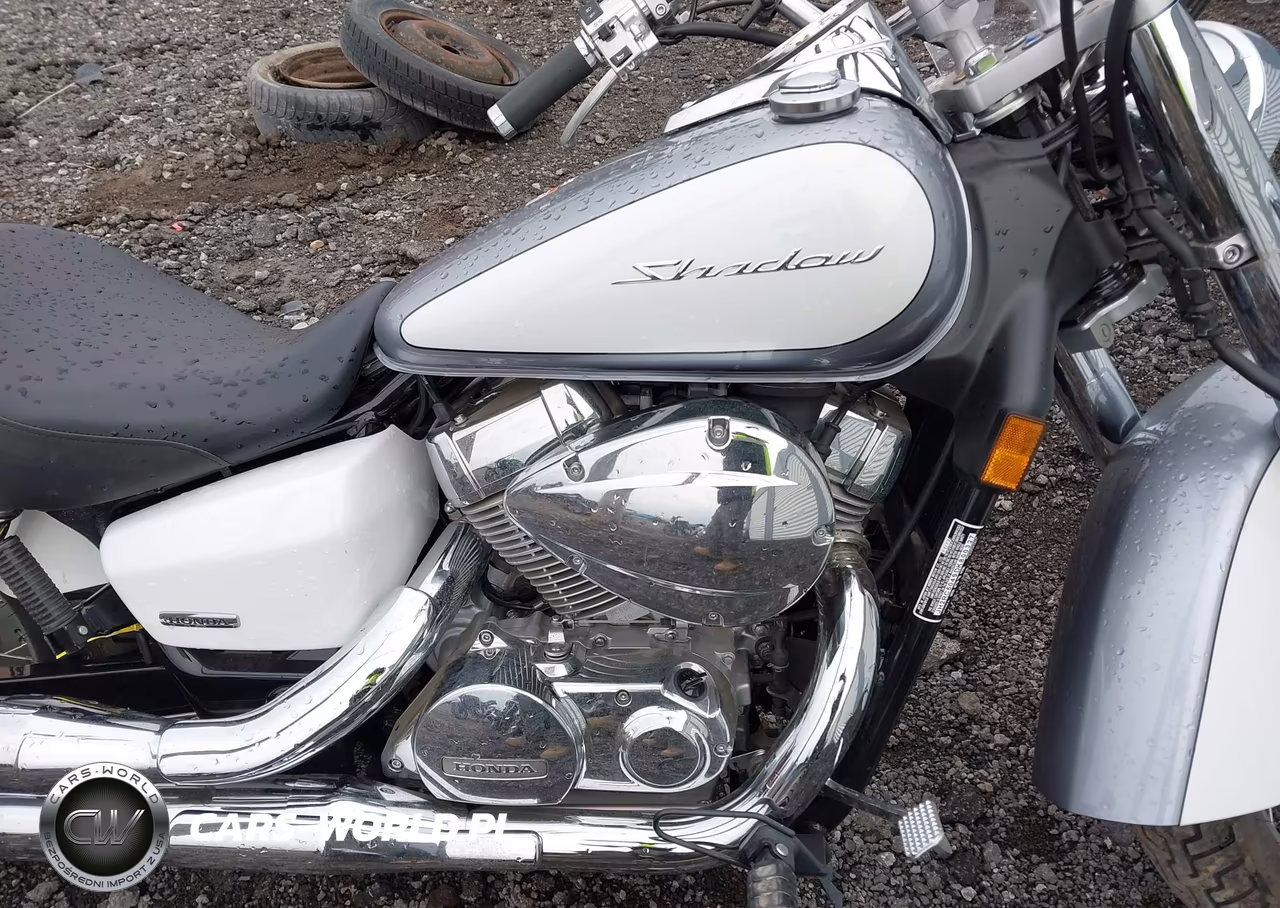 2013 Honda Vt750 Ca VIN:JH2RC5049DK800327 - 8