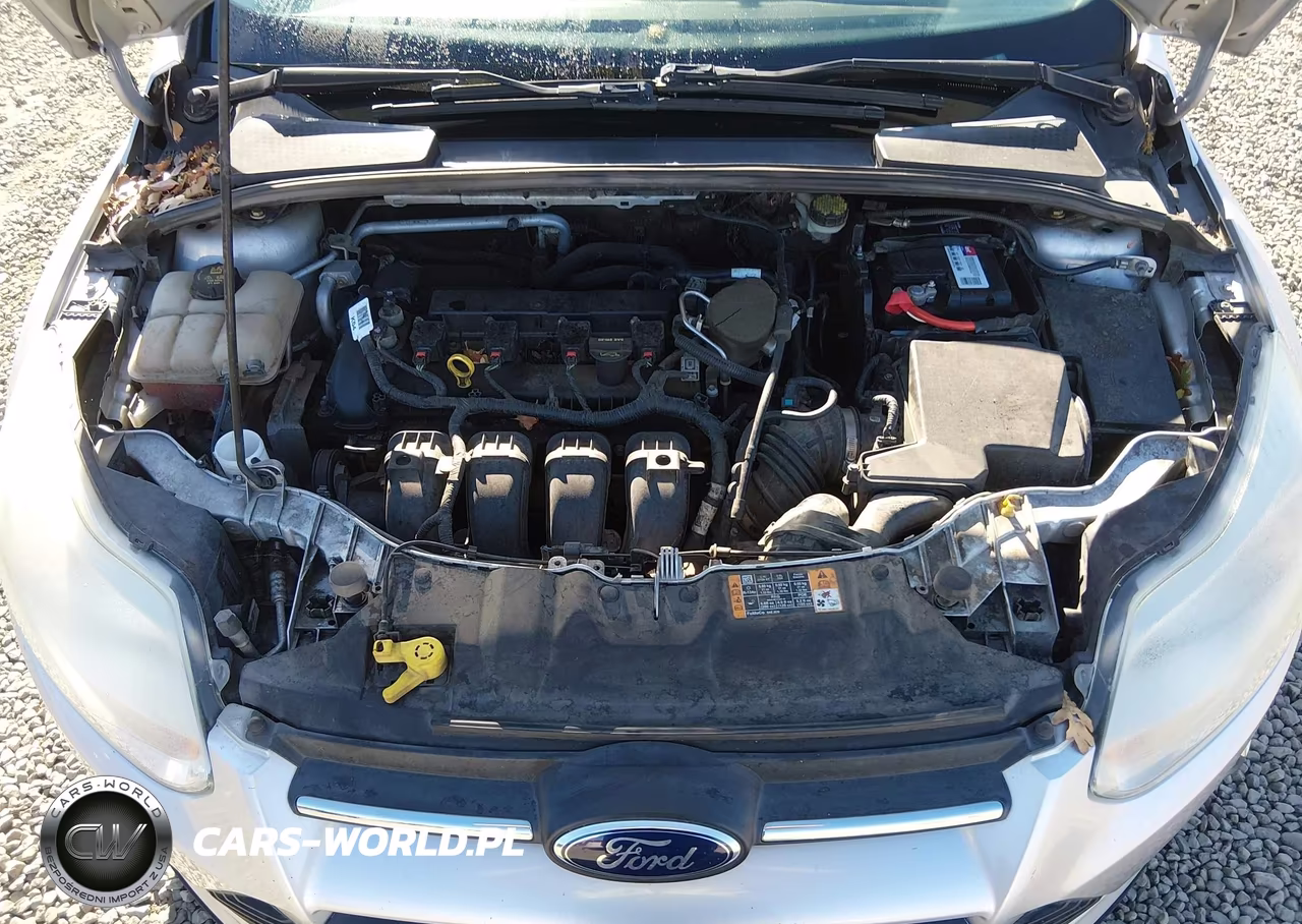 2014 Ford Focus Se VIN:1FADP3F26EL337209 - 10