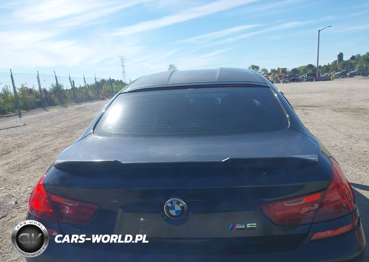 2015 BMW M6 Gran Coupe VIN:WBS6C9C54FD467557 - 16