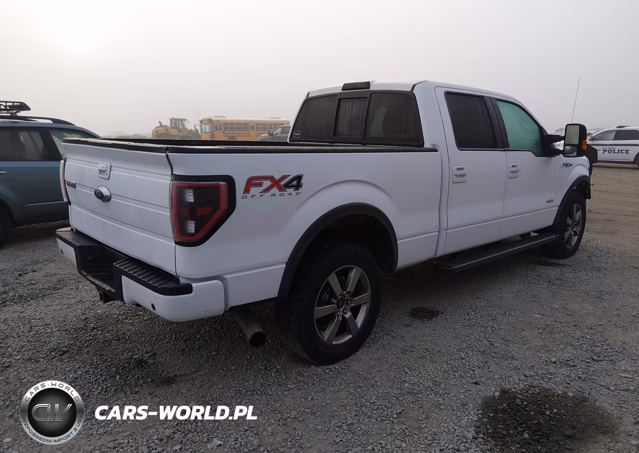 2014 Ford F-150 Fx4 VIN:1FTFW1ET7EKF55234 - 4