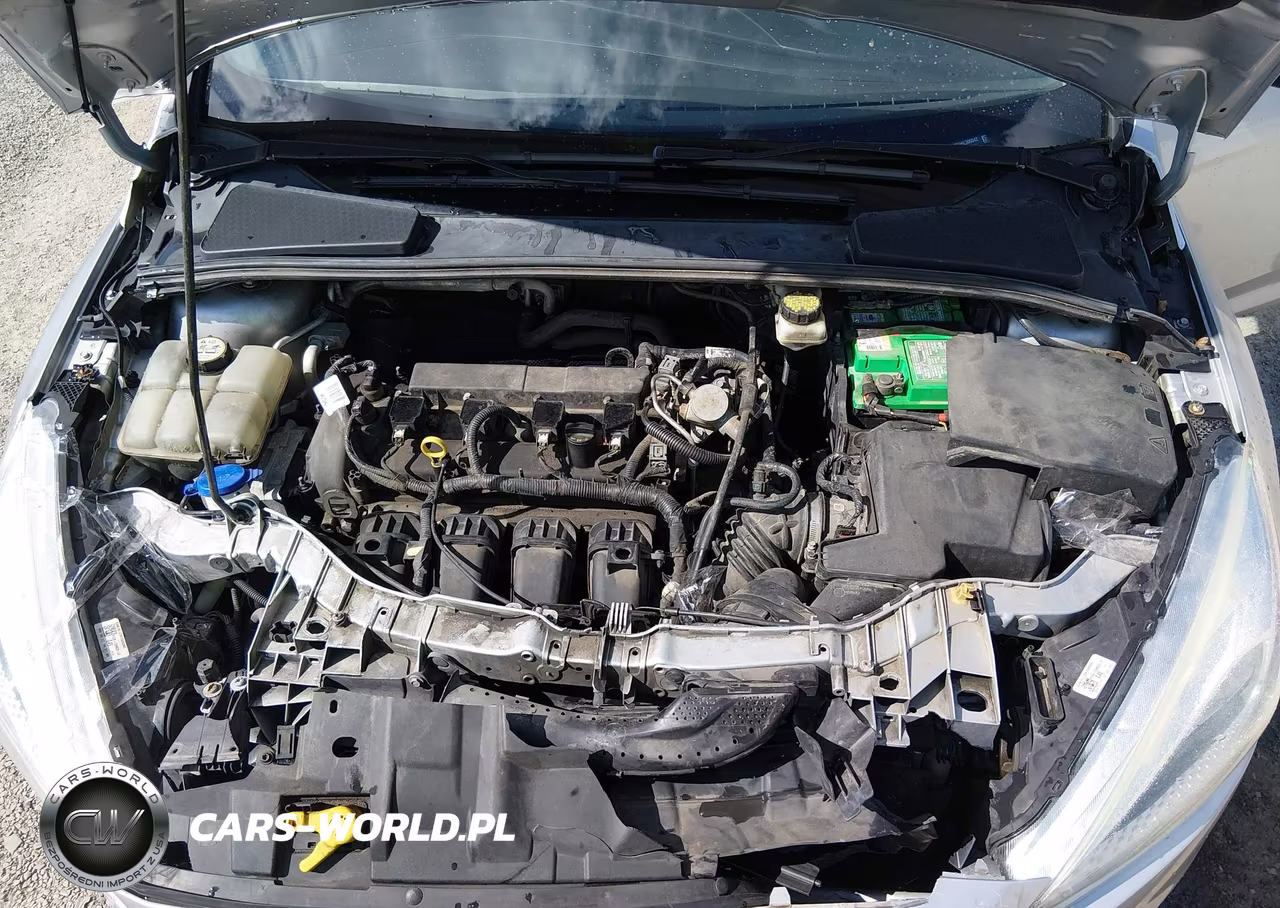 2017 Ford Focus Se VIN:1FADP3F23HL300042 - 10