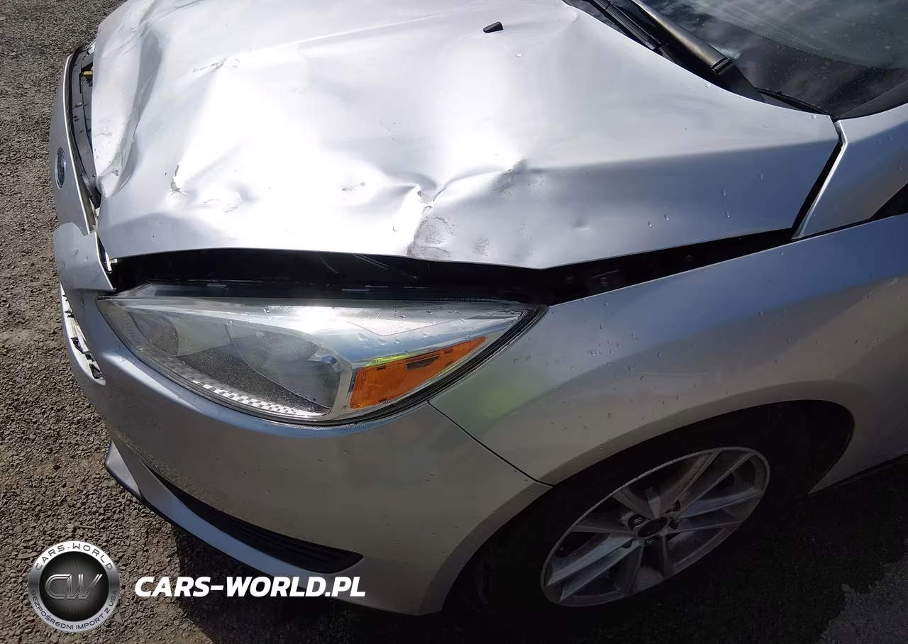 2017 Ford Focus Se VIN:1FADP3F23HL300042 - 17