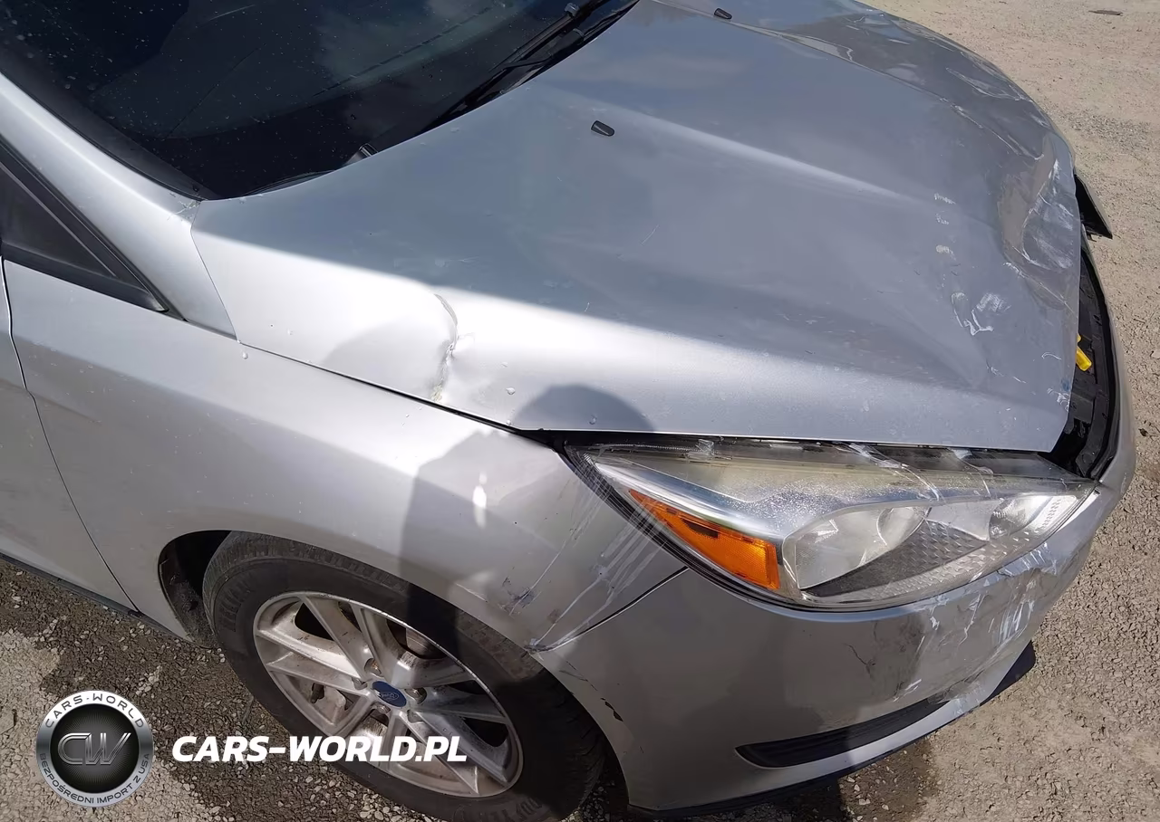 2017 Ford Focus Se VIN:1FADP3F23HL300042 - 19