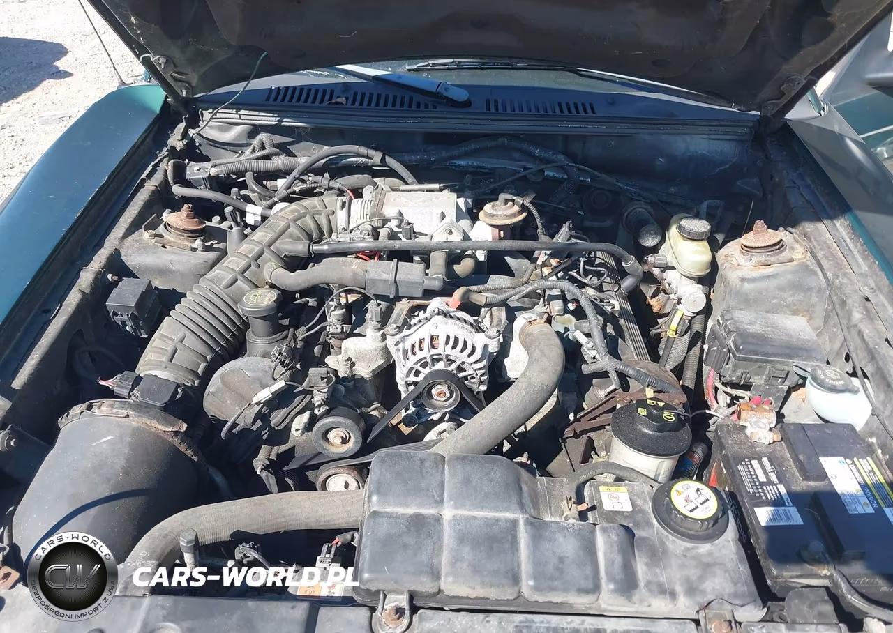 2003 Ford Mustang Gt VIN:1FAFP42XX3F351433 - 10