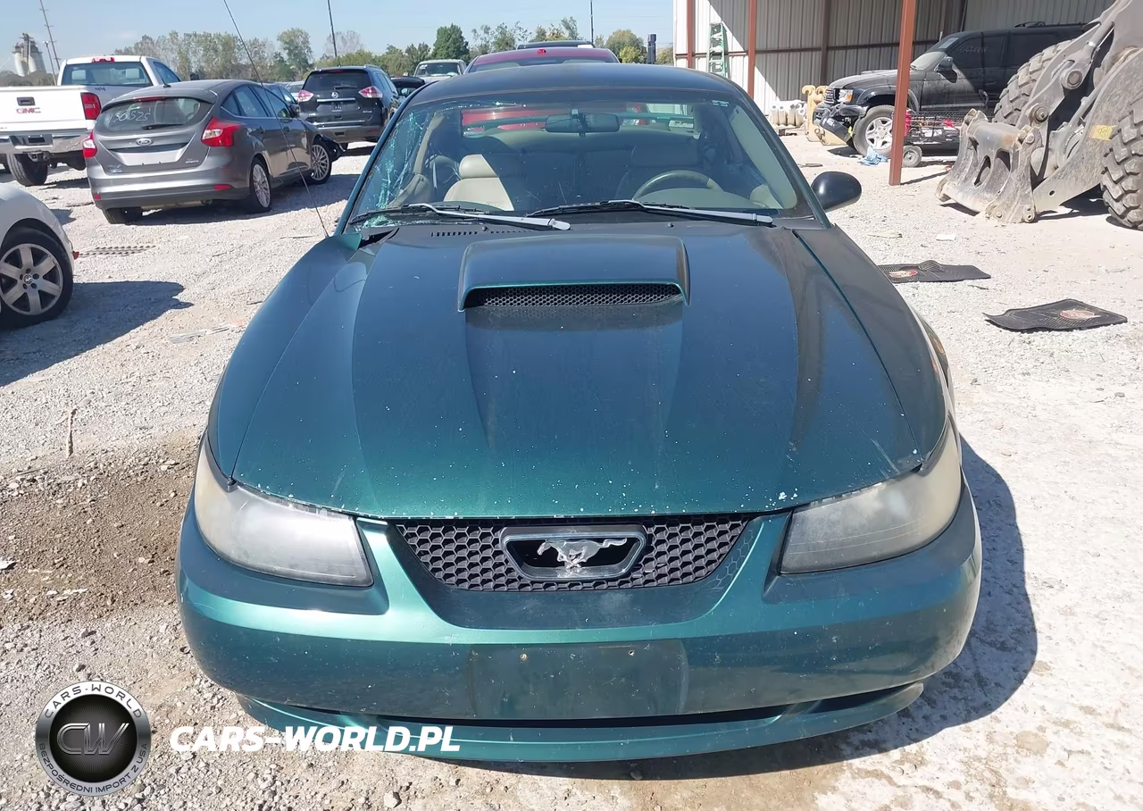2003 Ford Mustang Gt VIN:1FAFP42XX3F351433 - 12