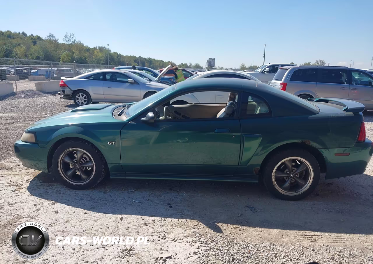 2003 Ford Mustang Gt VIN:1FAFP42XX3F351433 - 14