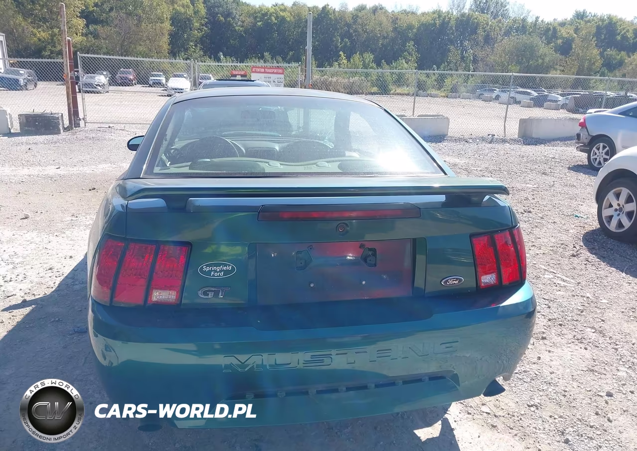 2003 Ford Mustang Gt VIN:1FAFP42XX3F351433 - 16