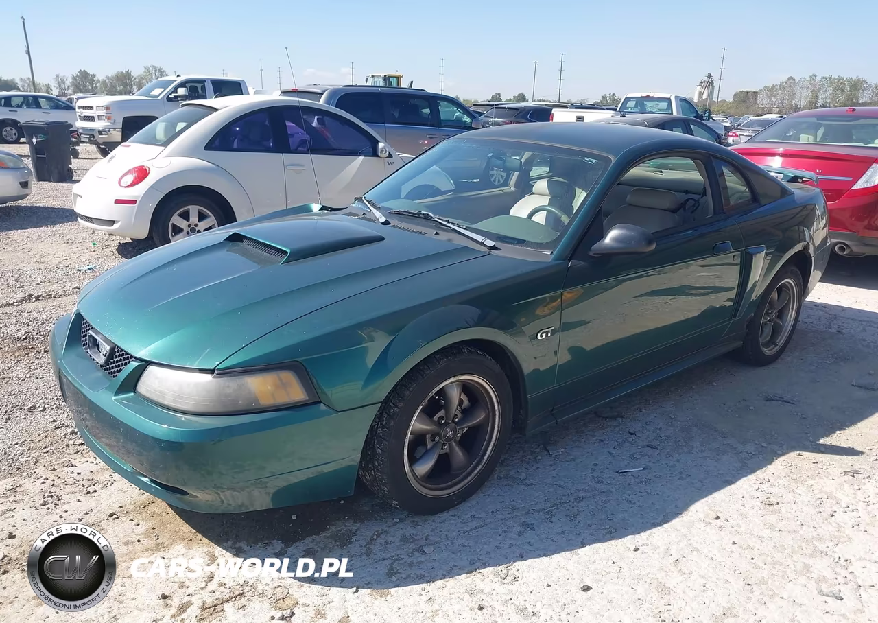 2003 Ford Mustang Gt VIN:1FAFP42XX3F351433 - 2