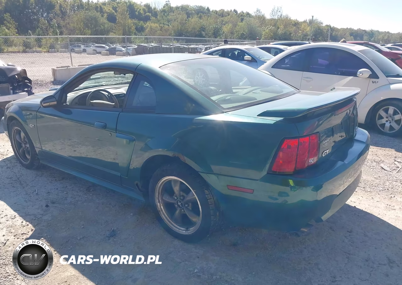 2003 Ford Mustang Gt VIN:1FAFP42XX3F351433 - 3