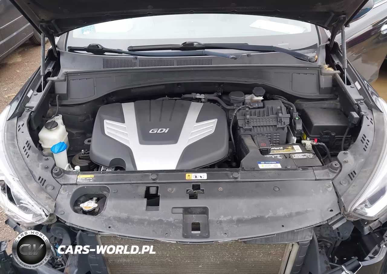 2017 Hyundai Santa Fe Se Ultimate VIN:KM8SRDHF8HU198213 - 10