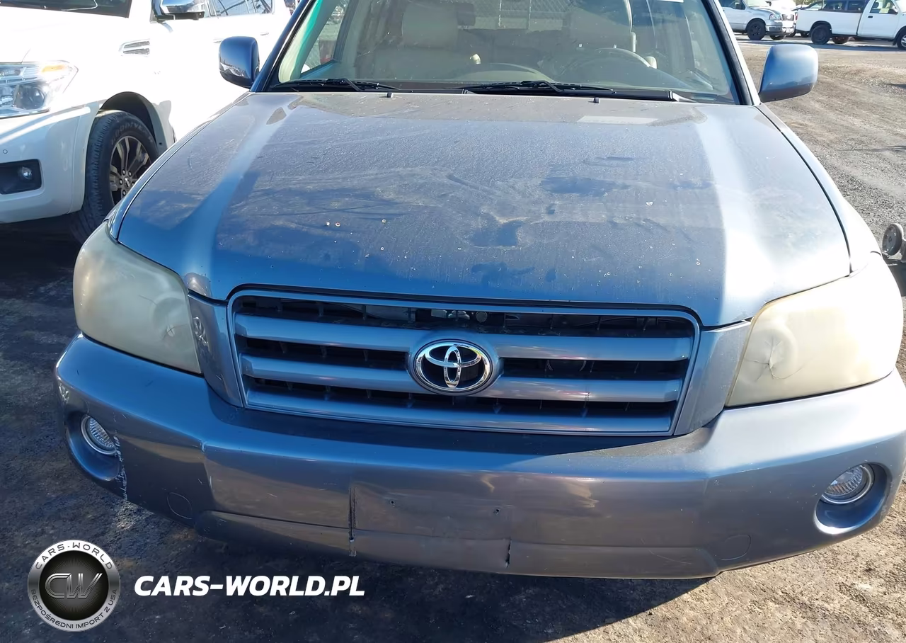 2004 Toyota Highlander Limited V6 VIN:JTEEP21AX40033934 - 6