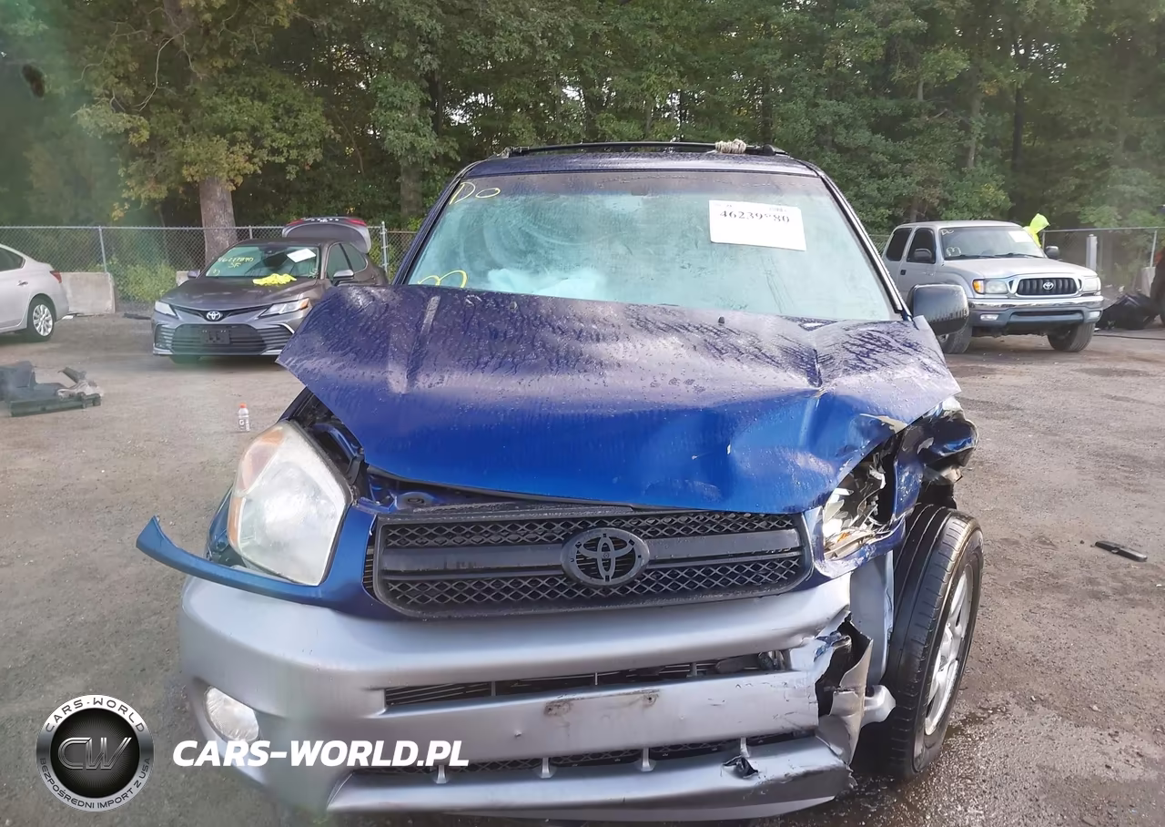 2004 Toyota Rav4 VIN:JTEGD20V640036142 - 12