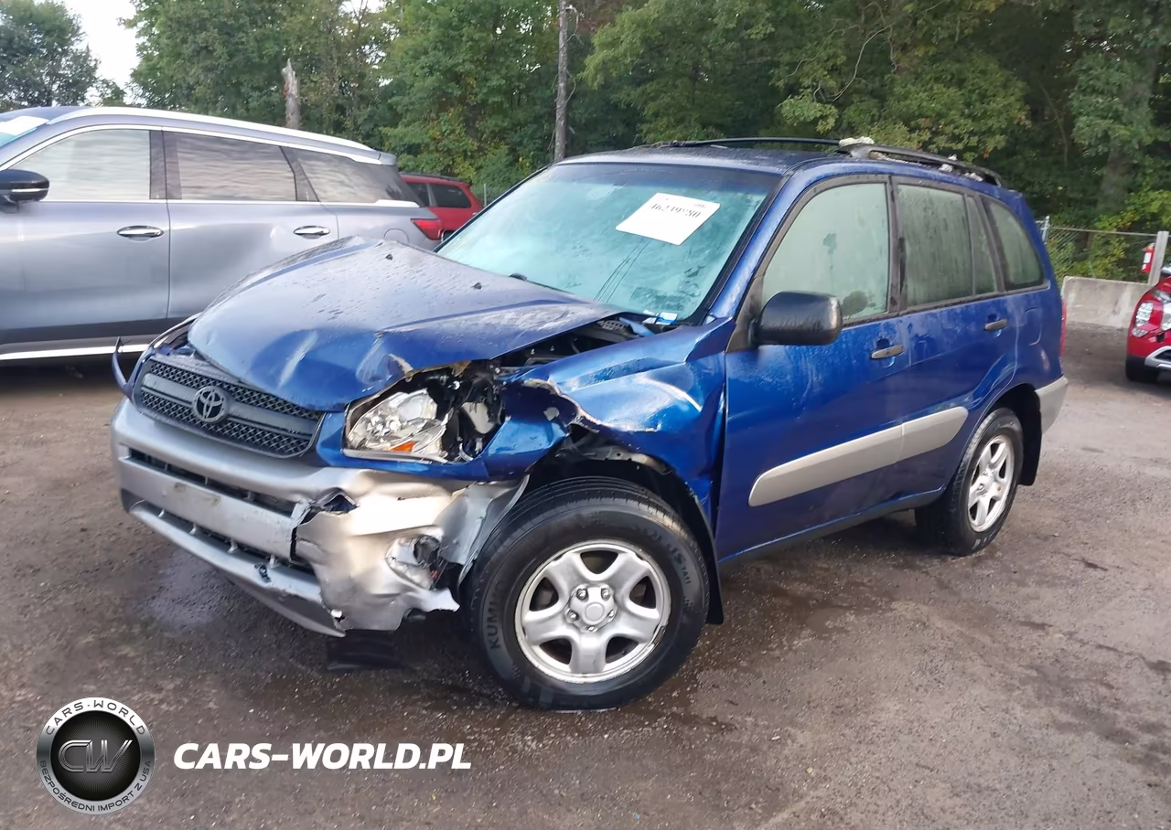 2004 Toyota Rav4 VIN:JTEGD20V640036142 - 2