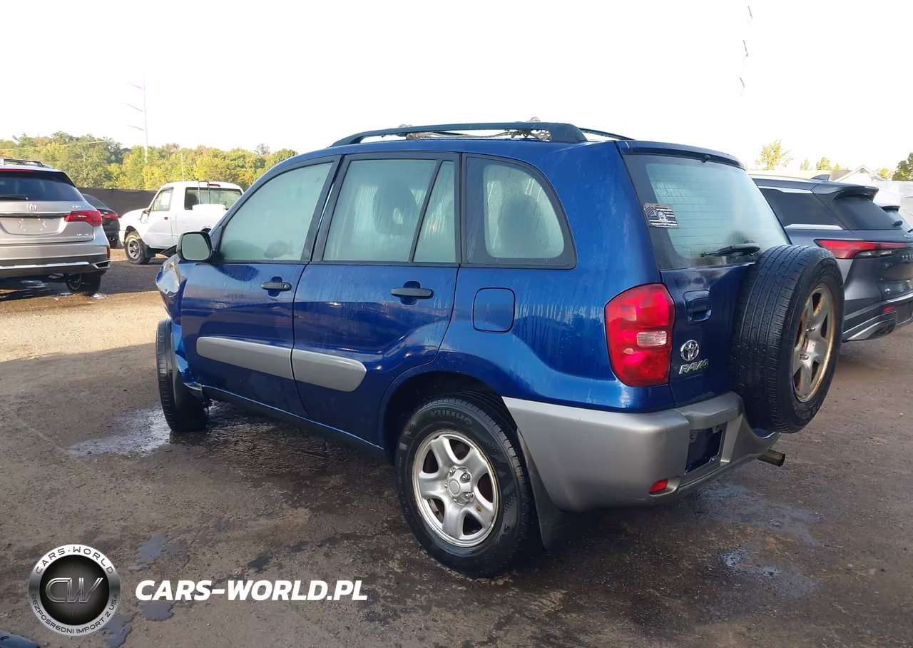2004 Toyota Rav4 VIN:JTEGD20V640036142 - 3