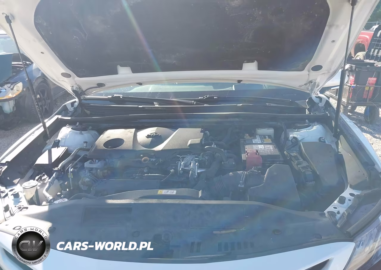 2018 Toyota Camry Xse VIN:4T1B61HK8JU102736 - 10