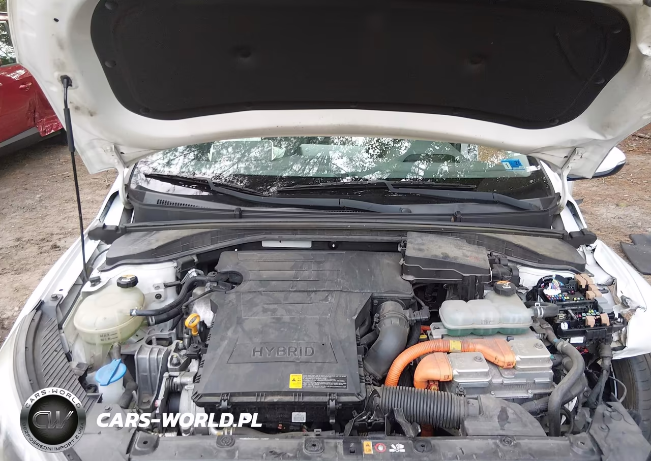 2020 Hyundai Ioniq Hybrid Limited VIN:KMHC05LC0LU208064 - 10