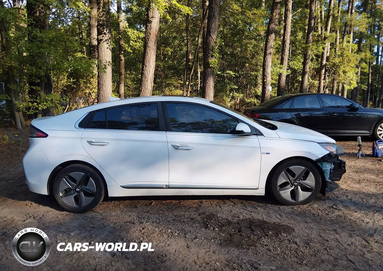 2020 Hyundai Ioniq Hybrid Limited VIN:KMHC05LC0LU208064 - 13