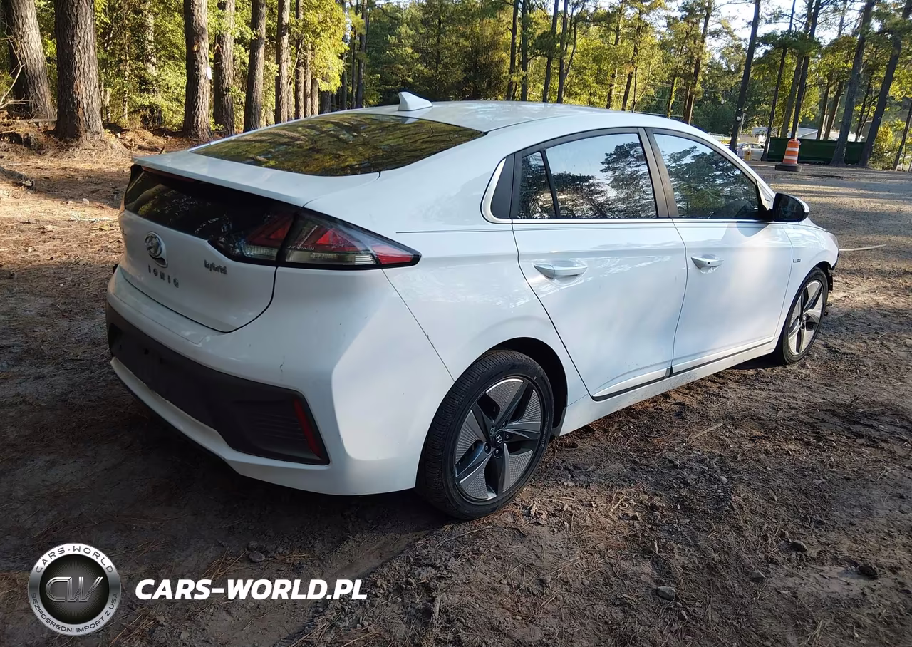 2020 Hyundai Ioniq Hybrid Limited VIN:KMHC05LC0LU208064 - 4