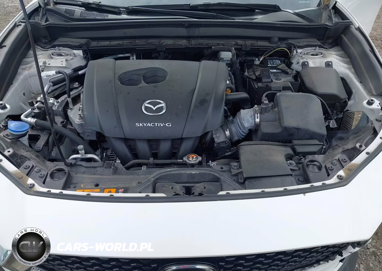 2021 Mazda Cx-30 Premium VIN:3MVDMBDL1MM306132 - 10
